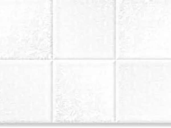 2501-L — BCZ Super White at Bandhan Ceramic 2501-L — BCZ Super White at Bandhan Ceramic