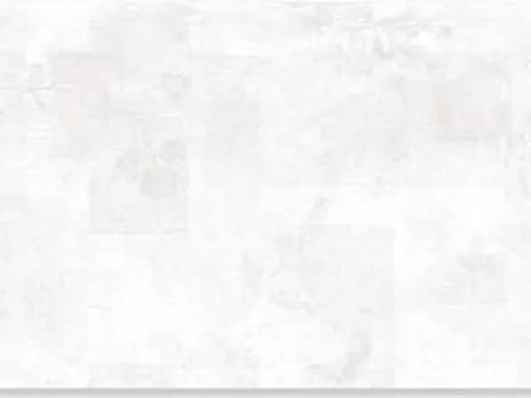 2528-L — BCZ Super White at Bandhan Ceramic 2528-L — BCZ Super White at Bandhan Ceramic