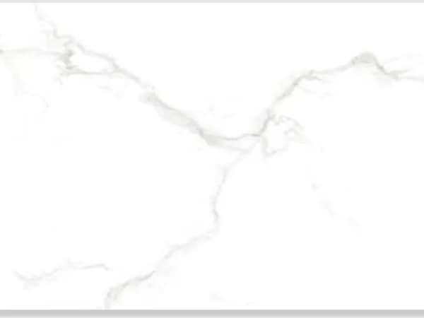 2549-L — BCZ Super White at Bandhan Ceramic 2549-L — BCZ Super White at Bandhan Ceramic