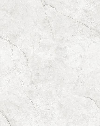 Austin Ash — BLZ Glossy 800×1600 at Bandhan Ceramic