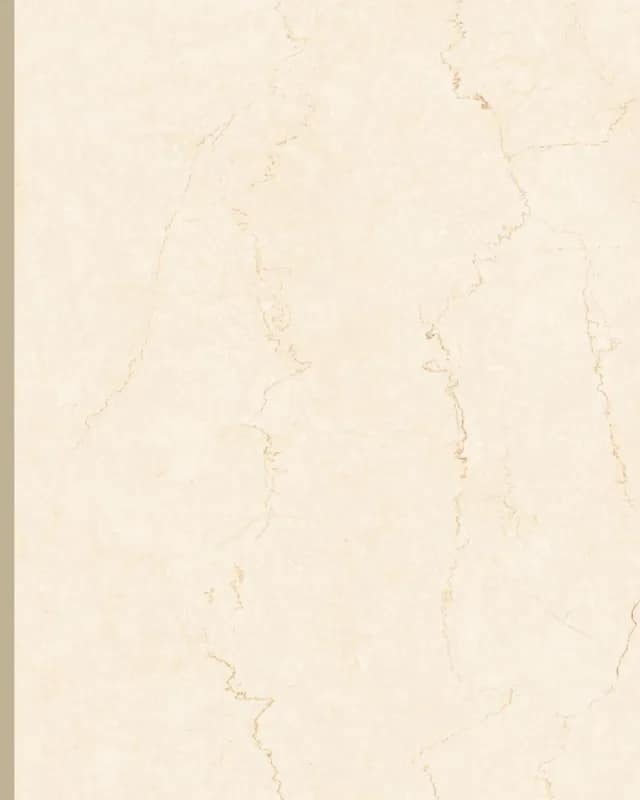 Bottochino Classic — Future Marble 1200×2400 at Bandhan Ceramic Bottochino Classic — Future Marble 1200×2400 at Bandhan Ceramic