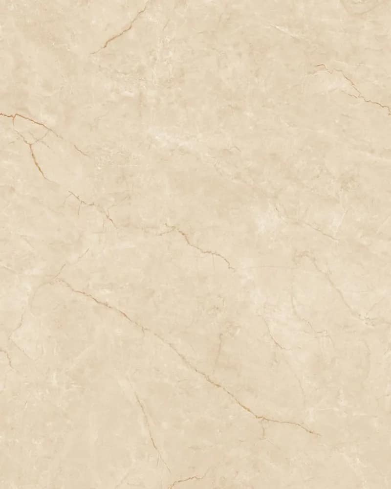 Spain Marfil Punch Surface — Future Marble 800×1600 at Bandhan Ceramic Spain Marfil Punch Surface — Future Marble 800×1600 at Bandhan Ceramic