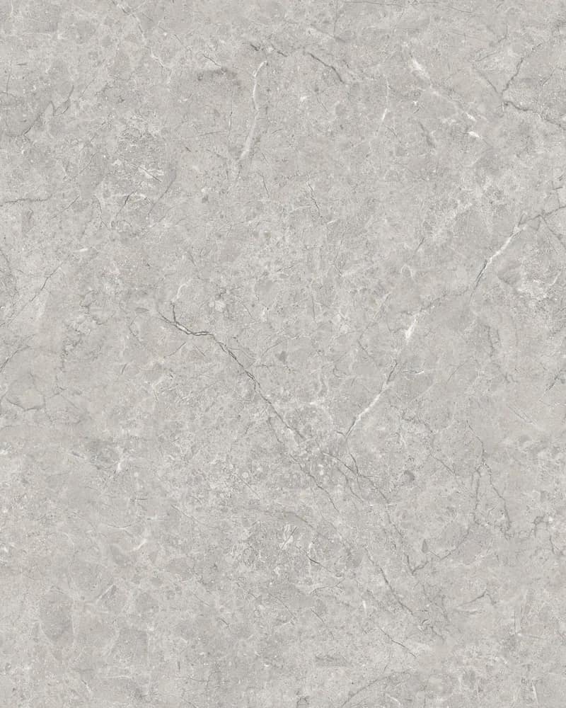 Tilopia Grey — Glossy Endless Vol. 2 at Bandhan Ceramic Tilopia Grey — Glossy Endless Vol. 2 at Bandhan Ceramic