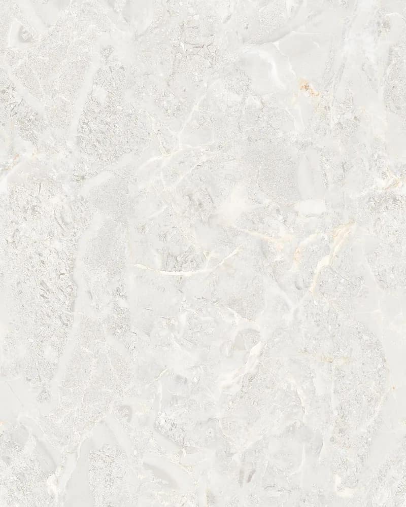 Express Bianco — Glossy Endless Vol. 3 at Bandhan Ceramic Express Bianco — Glossy Endless Vol. 3 at Bandhan Ceramic