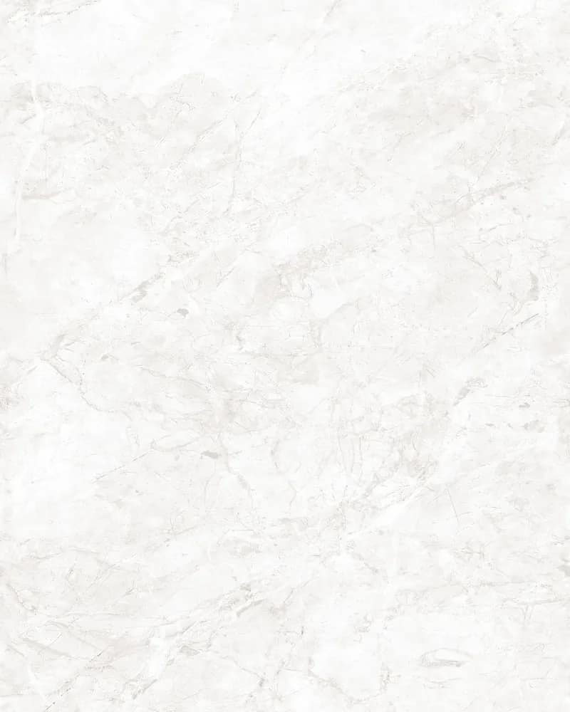 Tundra Bianco — Glossy Endless Vol. 4 at Bandhan Ceramic Tundra Bianco — Glossy Endless Vol. 4 at Bandhan Ceramic