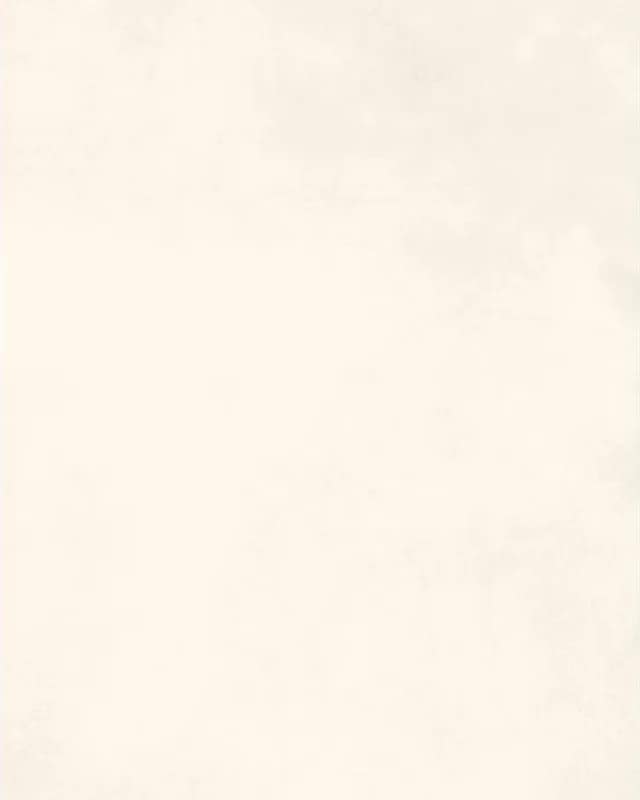 Nior Bianco — Carving Series at Bandhan Ceramic