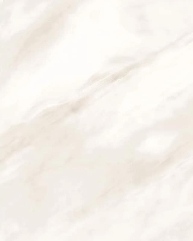 Arena White — Glossy Series at Bandhan Ceramic Arena White — Glossy Series at Bandhan Ceramic