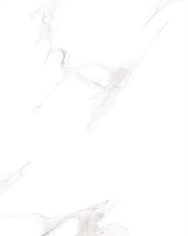 Carrara Bianco — Glossy Series at Bandhan Ceramic Carrara Bianco — Glossy Series at Bandhan Ceramic