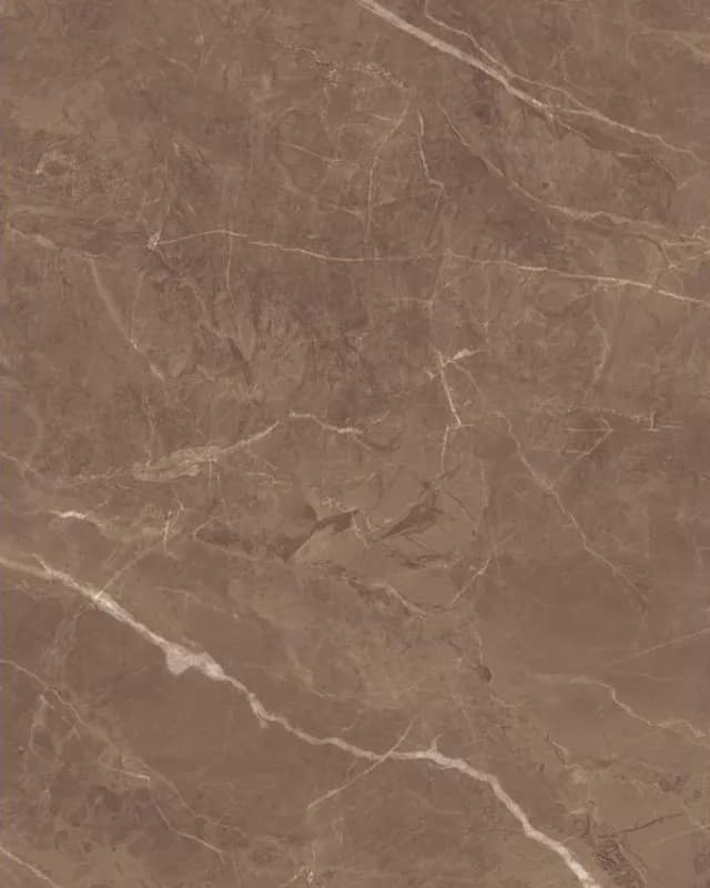 Panther Brown — Glossy Series at Bandhan Ceramic Panther Brown — Glossy Series at Bandhan Ceramic