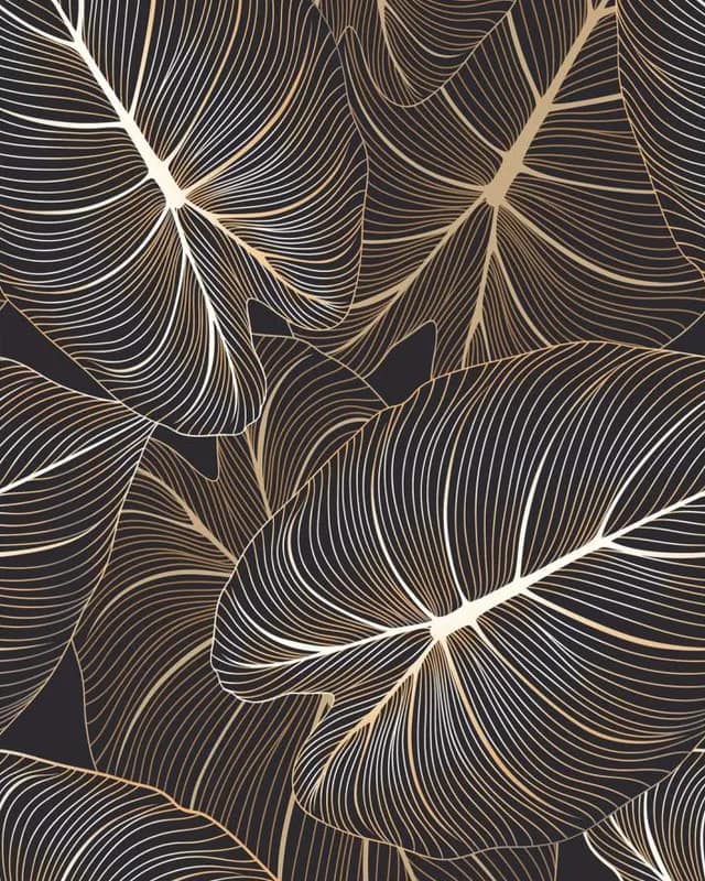 Aspen Black — High Gloss Series at Bandhan Ceramic Aspen Black — High Gloss Series at Bandhan Ceramic