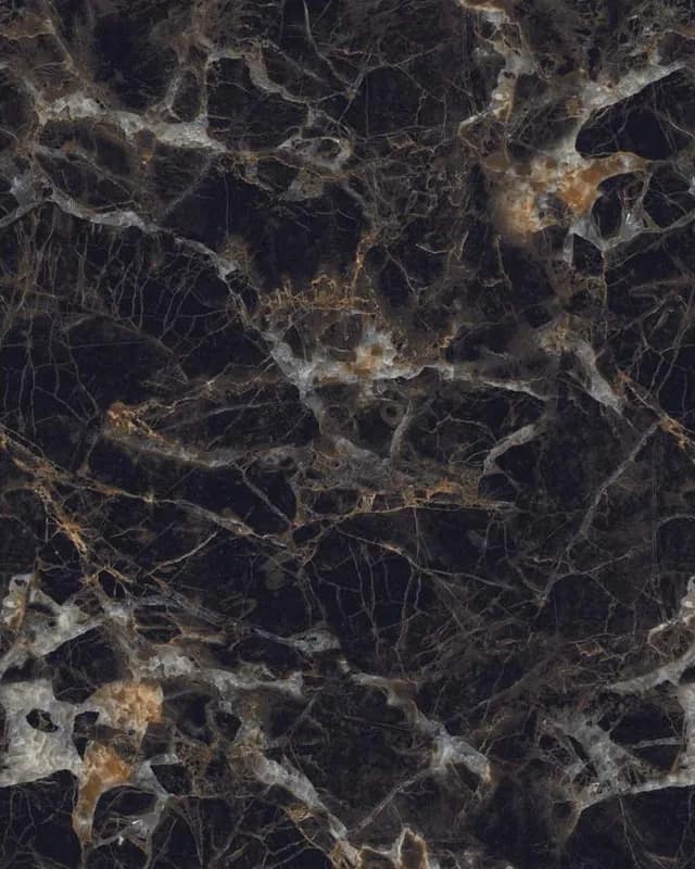 Scorpion Gold — High Gloss Series at Bandhan Ceramic Scorpion Gold — High Gloss Series at Bandhan Ceramic