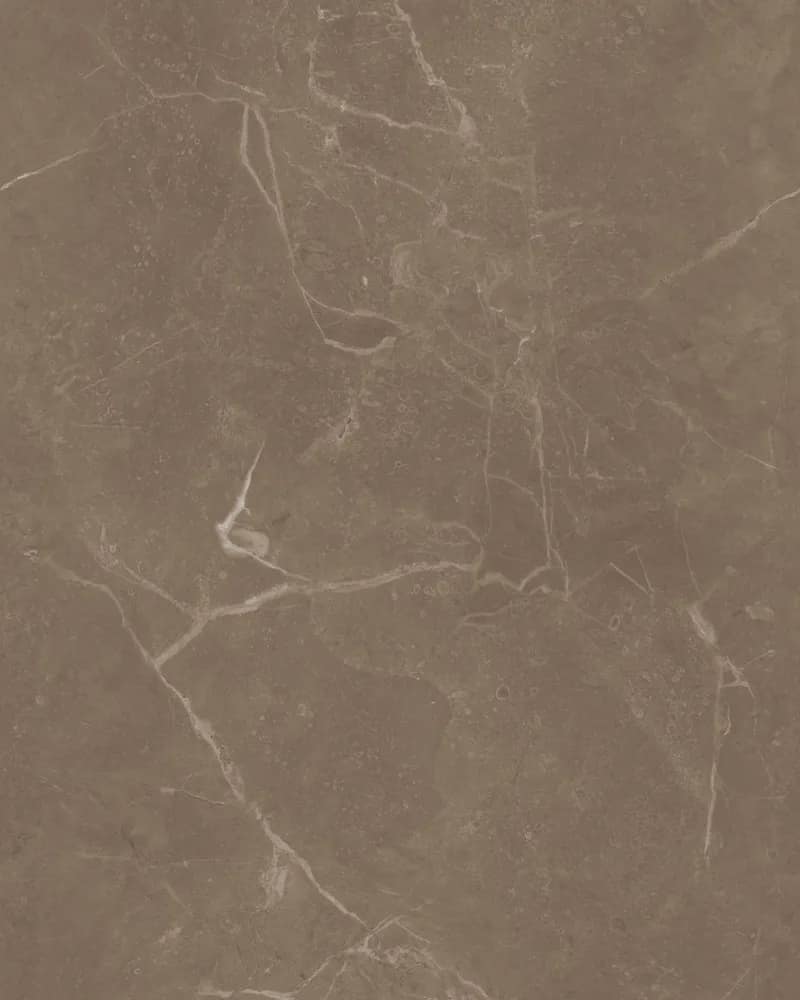 Luxe Zebrano Coco — Matt Carving Endless at Bandhan Ceramic Luxe Zebrano Coco — Matt Carving Endless at Bandhan Ceramic
