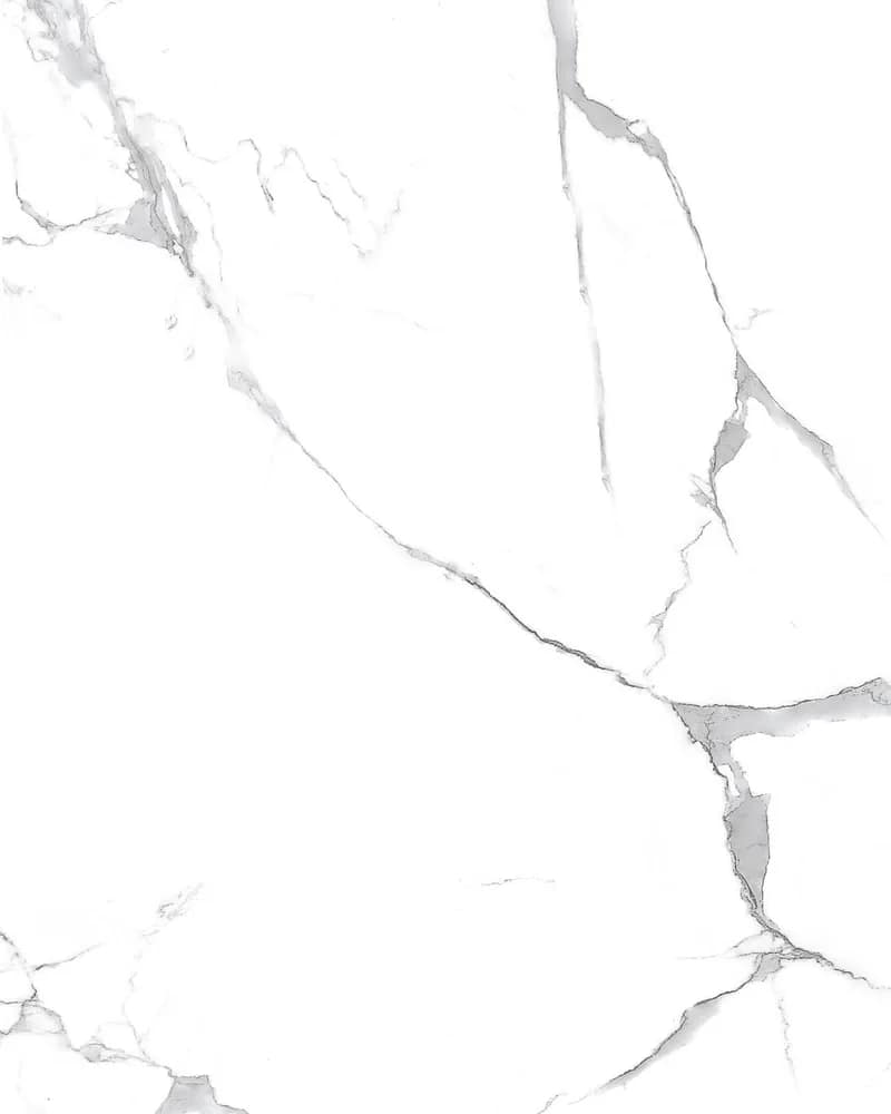Paradise White — Statuario Vol. 2 at Bandhan Ceramic Paradise White — Statuario Vol. 2 at Bandhan Ceramic