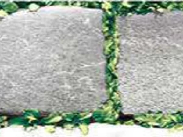 1108 — BCZ Glossy Elevation at Bandhan Ceramic 1108 — BCZ Glossy Elevation at Bandhan Ceramic