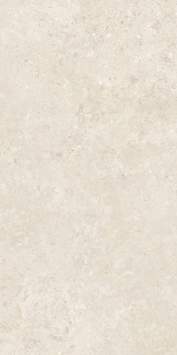 Forland Bianco Decore — face 5 at Bandhan Ceramic Forland Bianco Decore — random face 5 of 5