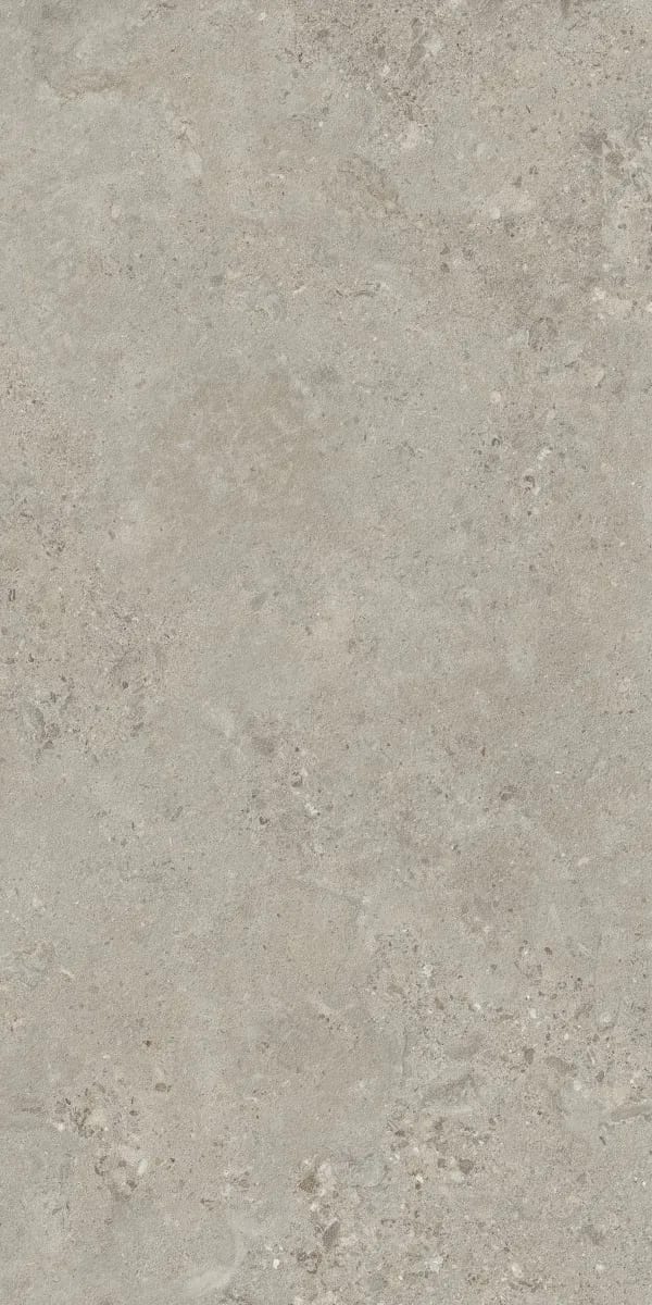 Forland Silver Decore — face 2 at Bandhan Ceramic Forland Silver Decore — random face 2 of 5