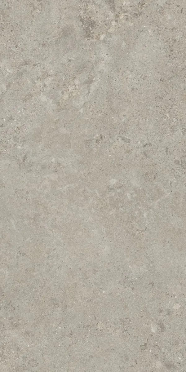 Forland Silver Decore — face 4 at Bandhan Ceramic Forland Silver Decore — random face 4 of 5