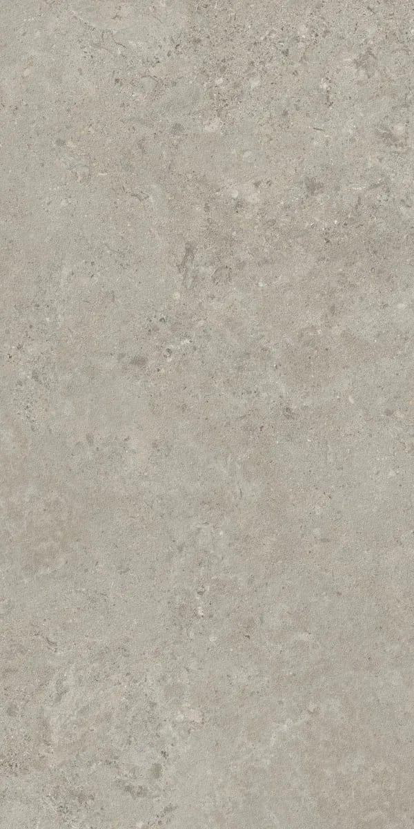 Forland Silver Decore — face 5 at Bandhan Ceramic Forland Silver Decore — random face 5 of 5